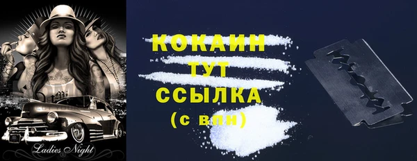 эйфоретик Бородино