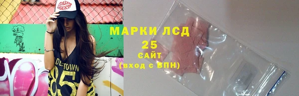 ПСИЛОЦИБИНОВЫЕ ГРИБЫ Верхнеуральск