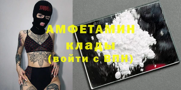 эйфоретик Бородино