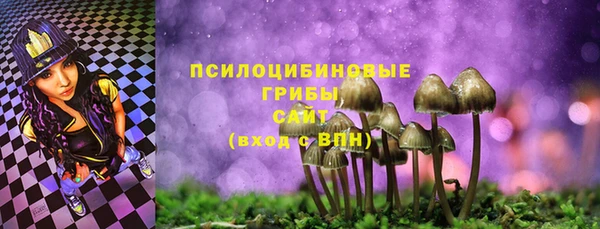 эйфоретик Бородино